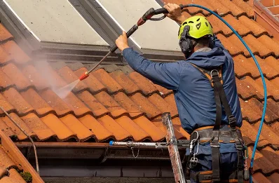 Démoussage et hydrofuge de toiture à Fretterans